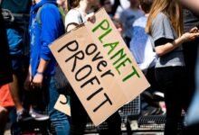 apex beam profit strategy