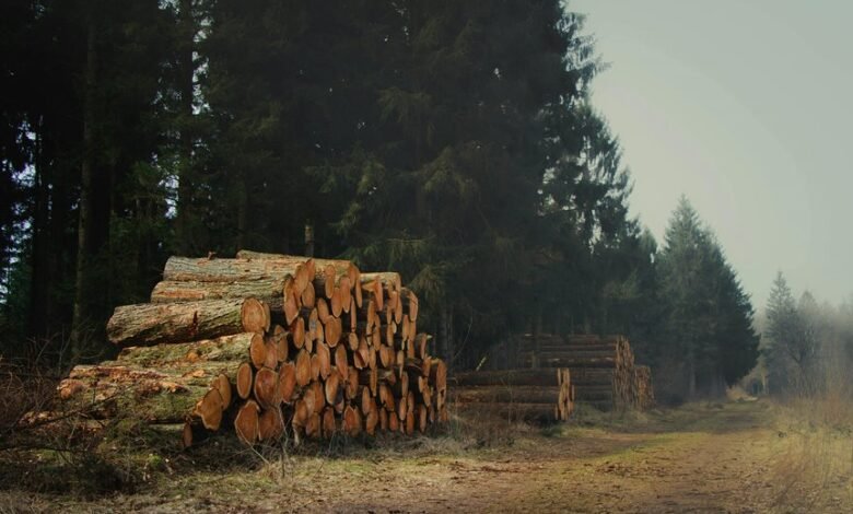 device management and logs