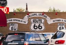 growth dynamics of route