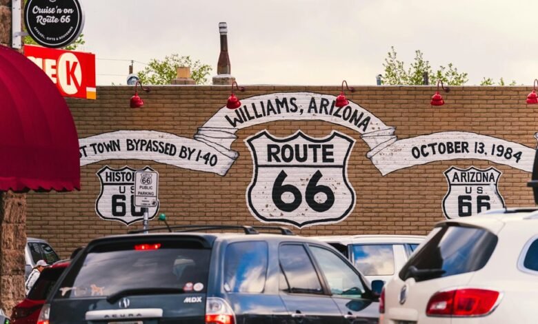 growth dynamics of route