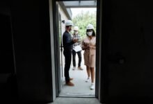 market launch momentum growth