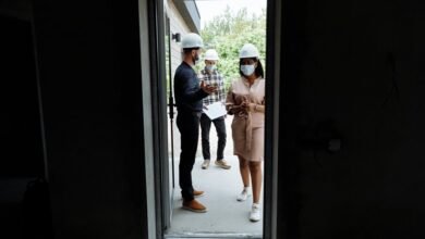 market launch momentum growth