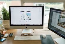 wizzydigital org s timely importance overview